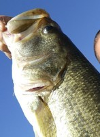 IMG_20190601_080506(1)(1)(1)_コピー