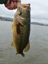 IMG00927_HDR_コピー