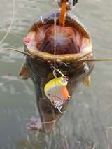 IMG01992(1)_コピー