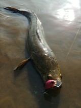 IMG00925(2)_コピー