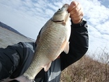 IMG00004_HDR_コピー