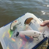 IMG_2ot3ax_コピー