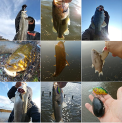 Capture _2021-11-30-15-22-18(1)_コピー