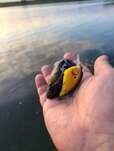 20220911_062150_コピー