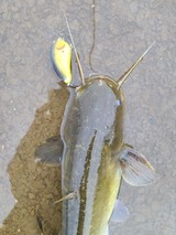 20220924_090900_コピー