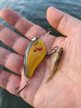 20220911_073052_コピー