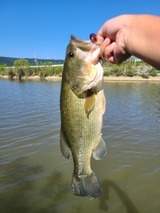 20221001_130452_コピー