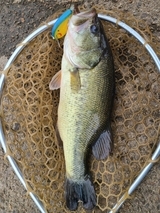 edited_20230318_135131_20230331_102612_コピー