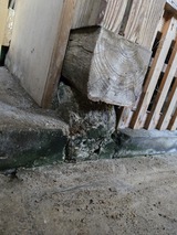 20251206_144315_コピー