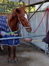 Screenshot_20260130_102403_LINE WORKS_コピー