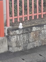 20260125_120055_コピー